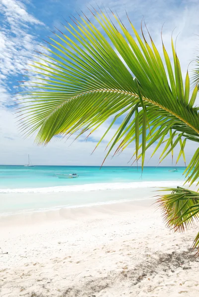 Caribbean beach Stock Image