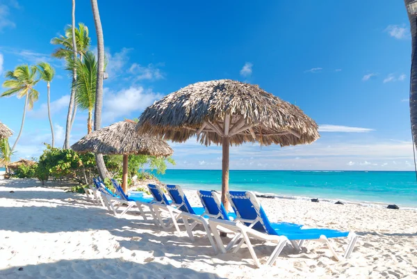 Карибский пляж Стоковое Фото