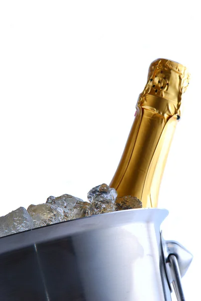 Enfriador de champán — Foto de Stock