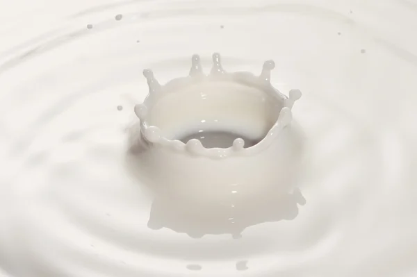 Csepp tej — Stock Fotó