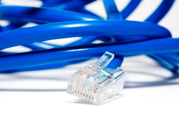 Изолированный голубой кабель Ethernet — стоковое фото