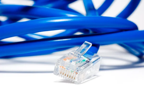 Cavo ethernet blu isolato — Foto Stock