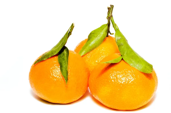 Tres mandarinas —  Fotos de Stock