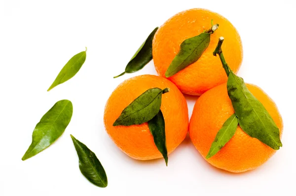 Três tangerinas — Fotografia de Stock
