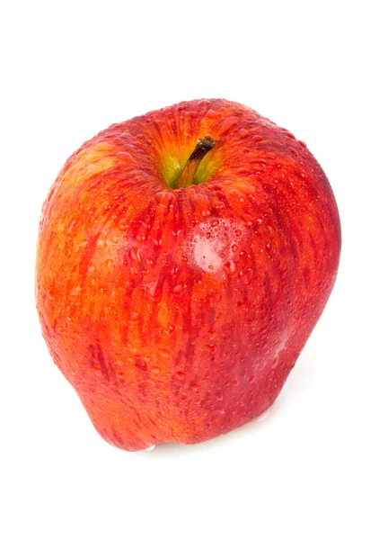 Rött äpple med vattendroppar — Stockfoto