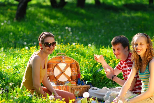 Amici in picnic — Foto Stock