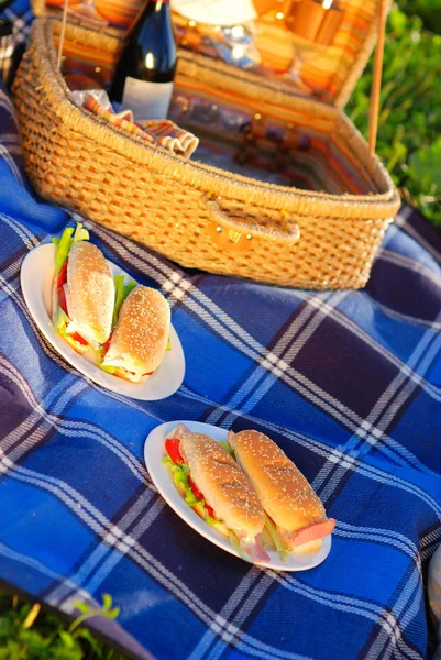 Бутерброди для пікніка — стокове фото