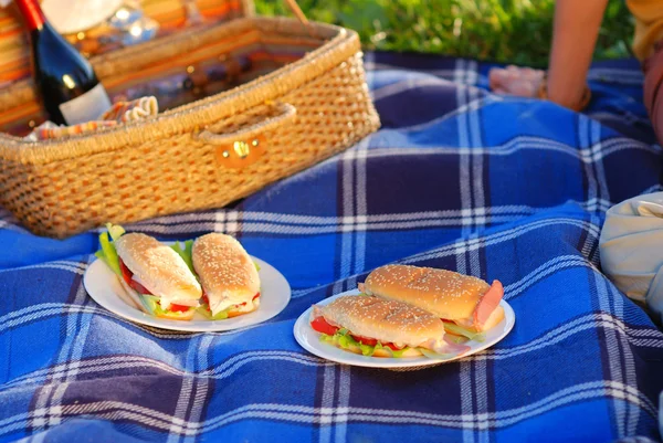 Sanduíches de piquenique — Fotografia de Stock