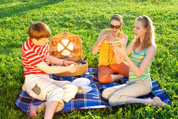 Amigos de picnic — Foto de Stock