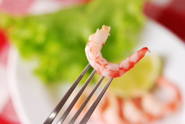 Shrimp with garnish clipart