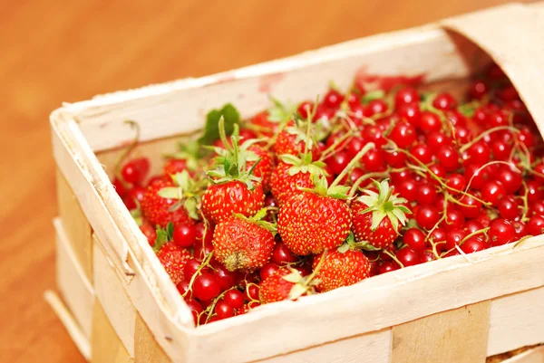 Grosella roja y fresa en cesta —  Fotos de Stock