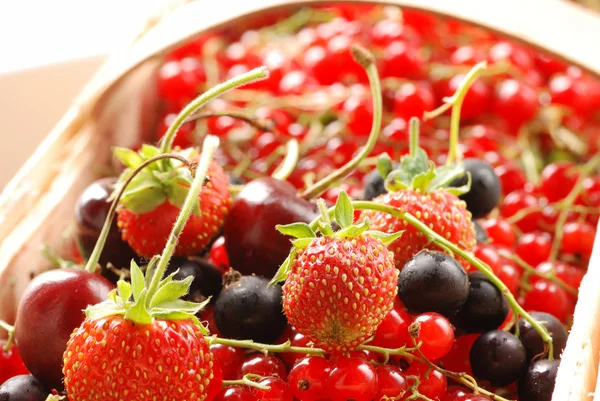 Currant & strawberry in basket — Stock Photo, Image