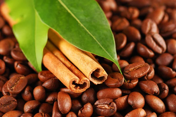 コーヒー豆とシナモン — ストック写真
