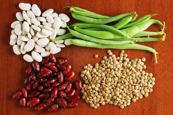 콩의 다양 한 종류 — 스톡 사진
