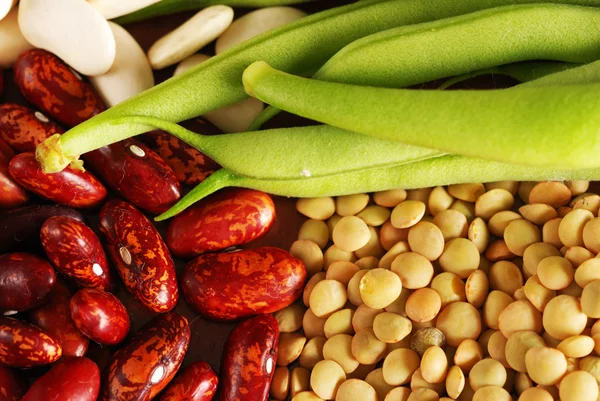 様々 なタイプの豆 — ストック写真