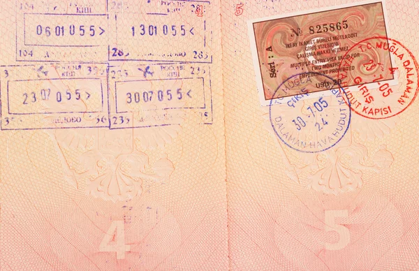 Entry stamps & visa — Stock Photo, Image