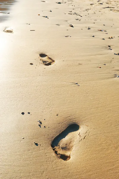 Sand footprints — Stock Photo, Image