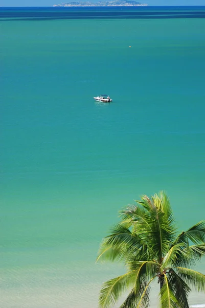 Tropiska marinmålning — Stockfoto