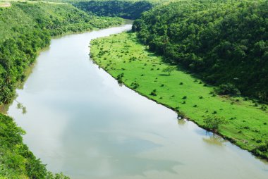 tropikal Nehri