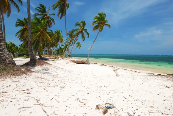 Карибський дикому пляжі — стокове фото