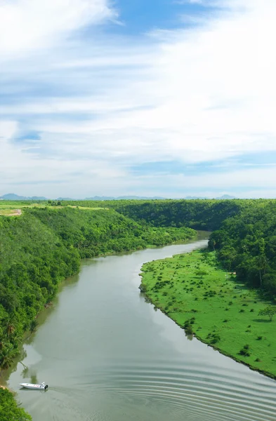Río tropical — Foto de Stock