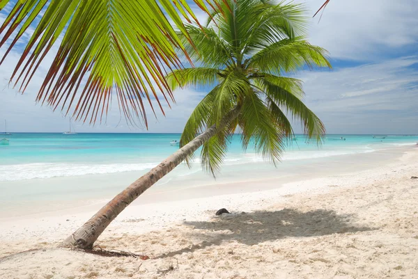 Karibiska stranden — Stockfoto