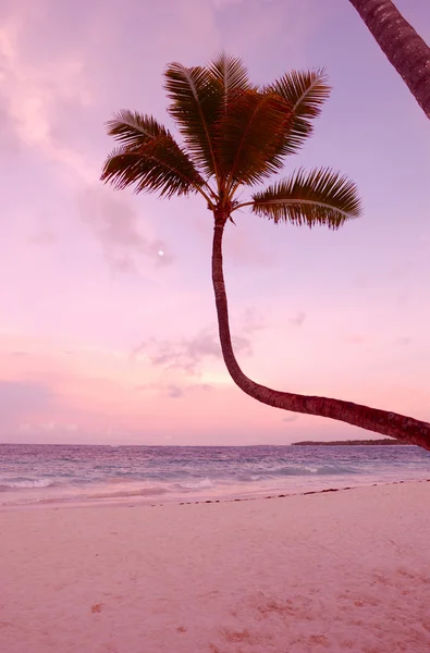 Карибський захід сонця — стокове фото