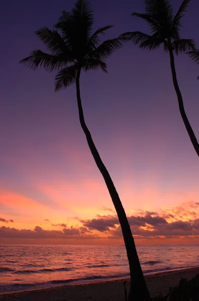 Caribische zonsondergang — Stockfoto