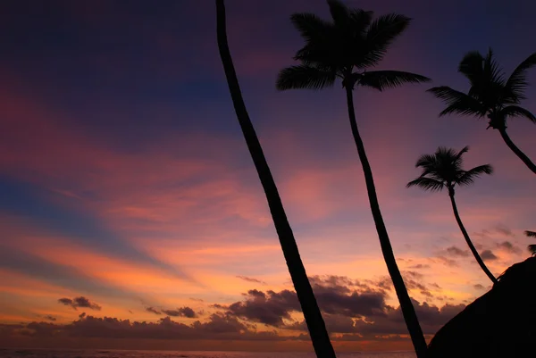 Caribische zonsondergang — Stockfoto