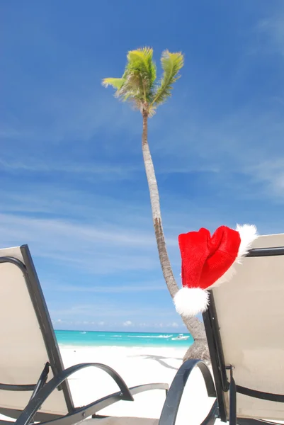 Navidad tropical — Foto de Stock