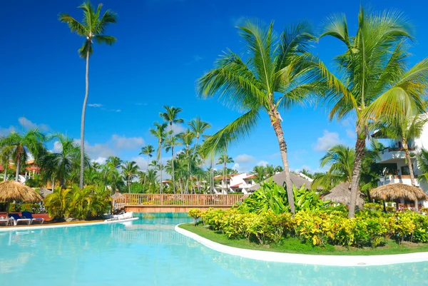 Piscina tropical — Fotografia de Stock