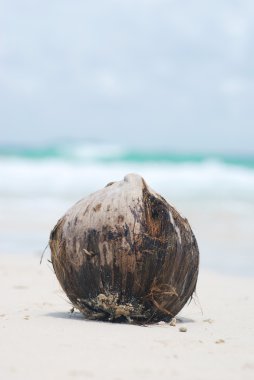 Hindistan cevizi Beach