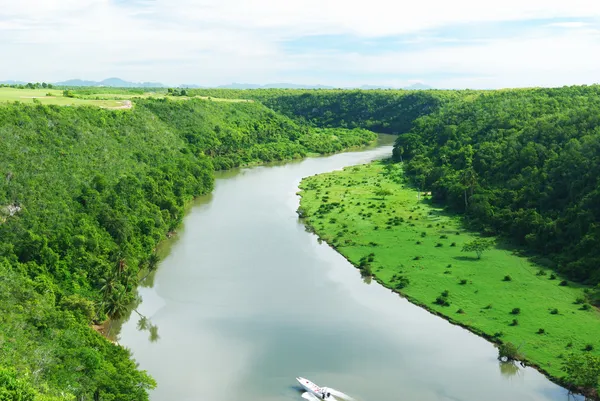 Тропические реки — стоковое фото