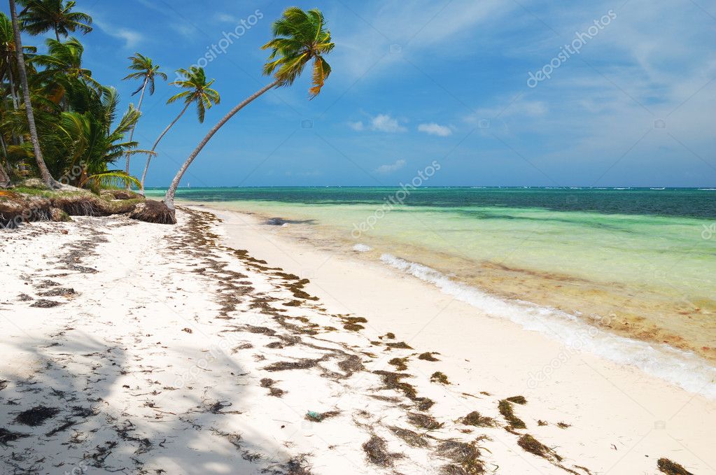 Caribbean wild beach