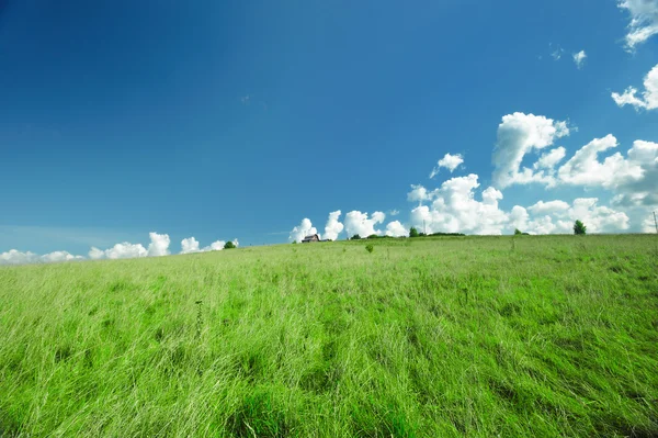 녹색 풍경 — 스톡 사진