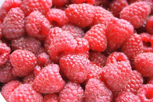 stock image Raspberry