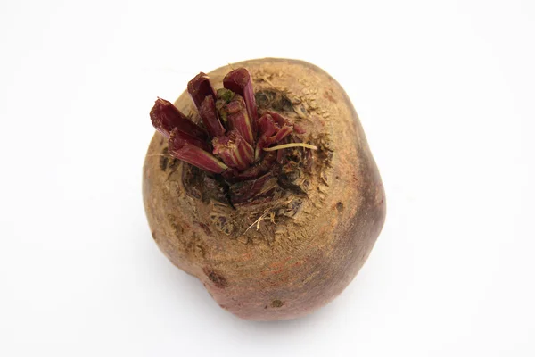 Red beet — Stock Photo, Image