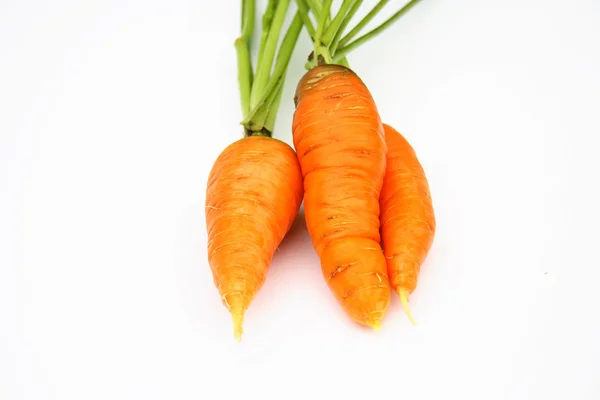 stock image Carrots