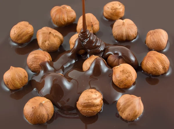 Hazelnut chocolate — Stock Photo, Image