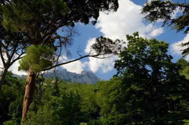 Güneş yeşil peyzaj