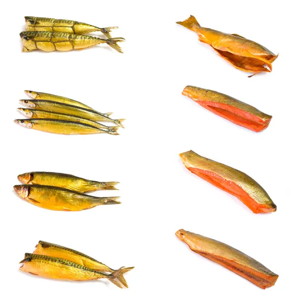 Reihe von geräuchertem Fisch — Stockfoto