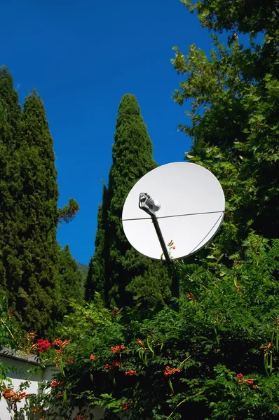 stock image Parabolic antenna