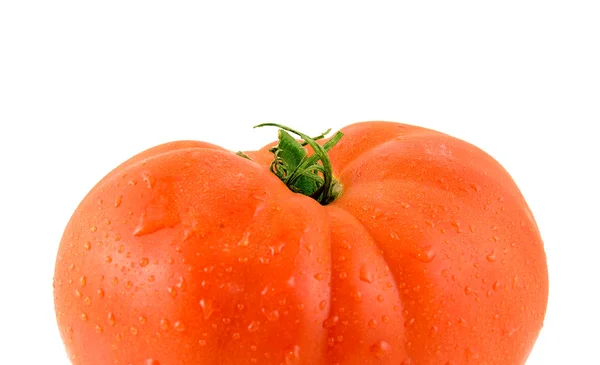 Dojrzały pomidor — Zdjęcie stockowe