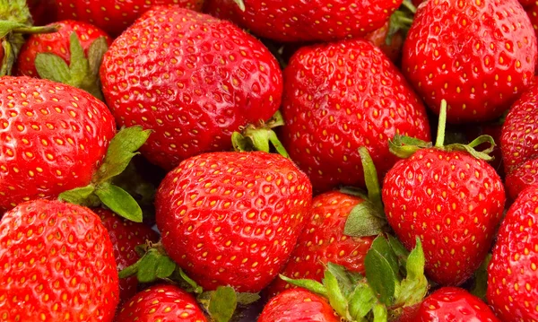Reife Erdbeeren Hintergrund — Stockfoto