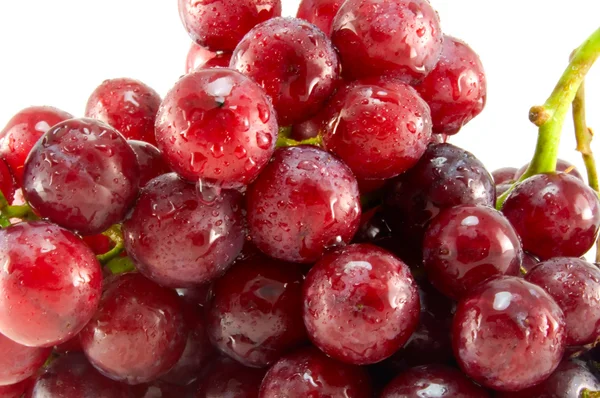 Czerwony dojrzałe winogrona — Zdjęcie stockowe