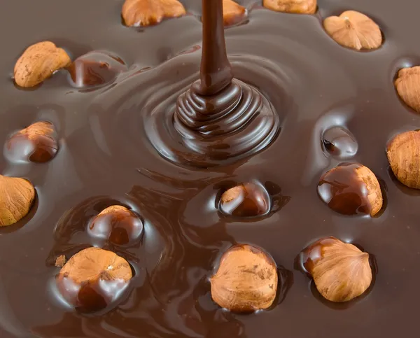 Cokelat Hazelnut — Stok Foto