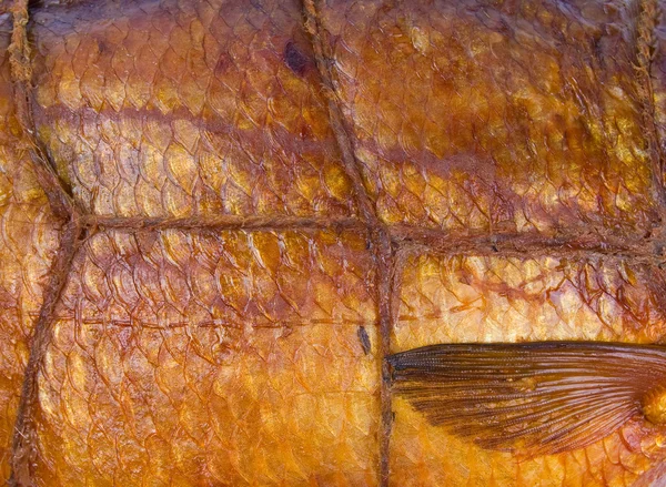 Smoked fish background — Stock Photo, Image