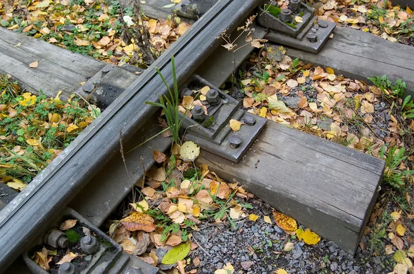 오래 된 철도 — 스톡 사진