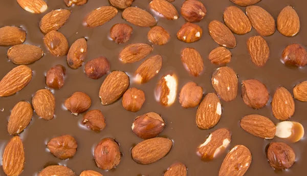 Almonds and hazelnuts chokolate — Stock Photo, Image