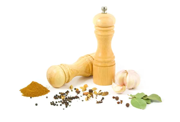 Pepper grinder with set of spices — Stock Photo, Image